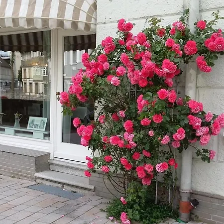 & Cafe Kleinergruenauer Hotel