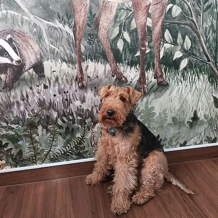 & Cafe Kleinergruenauer 3*