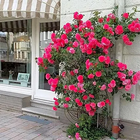 & Cafe Kleinergruenauer Szálloda Bad Salzuflen