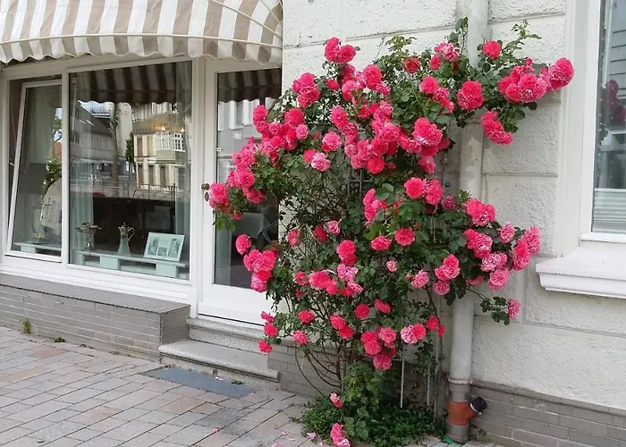 & Cafe Kleinergruenauer Hotel