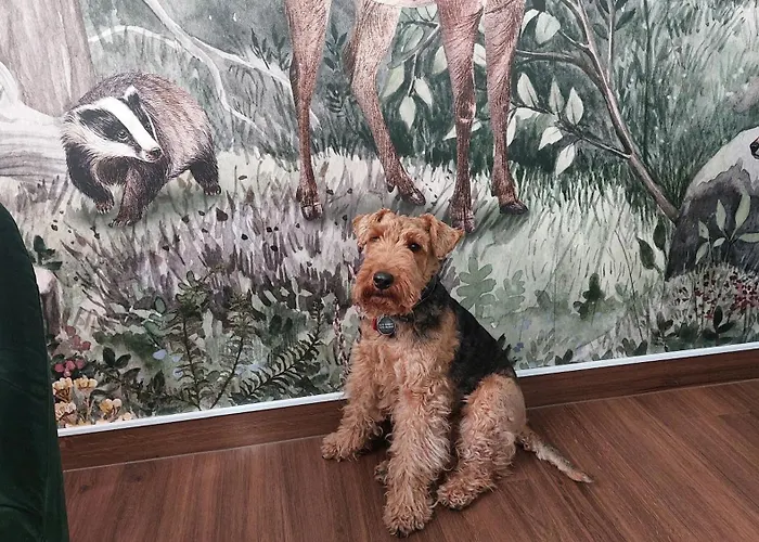 & Cafe Kleinergruenauer 3*